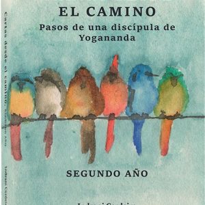 CARTAS DESDE EL CAMINO II